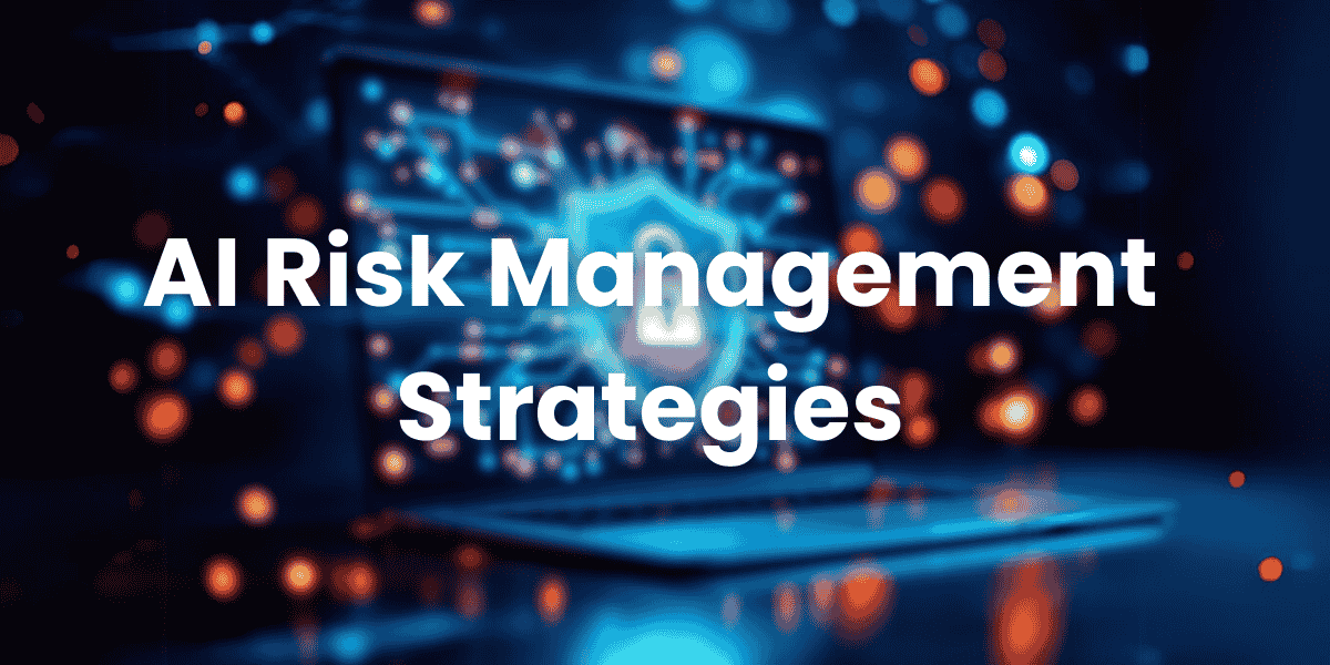 AI Risk Management Strategies